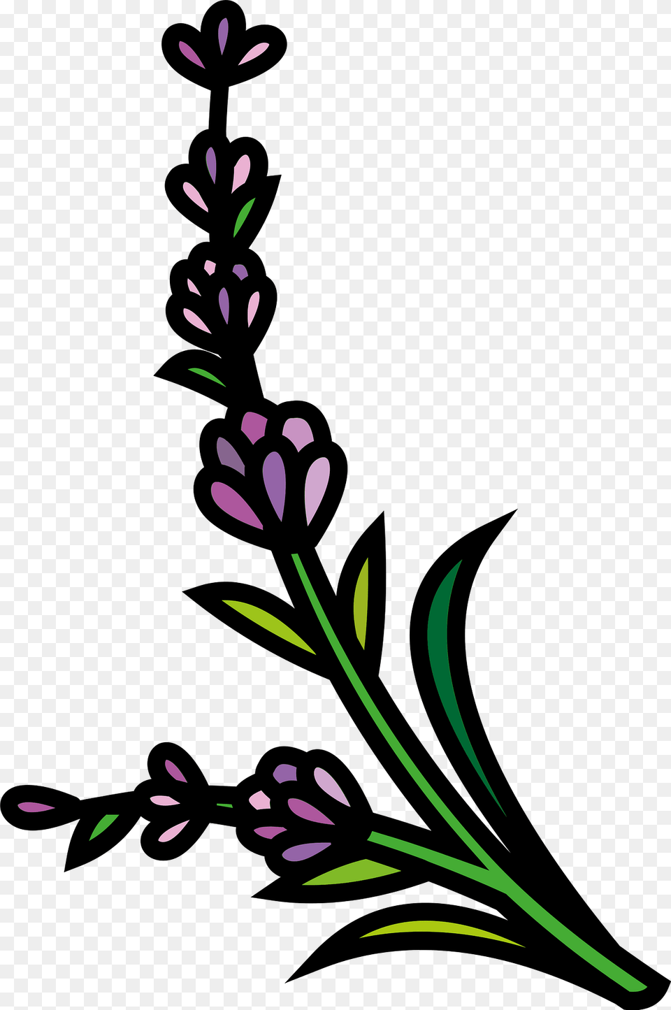 Lavender Clipart, Art, Floral Design, Flower, Graphics Free Png Download