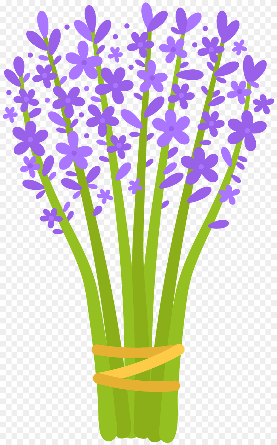 Lavender Clipart, Flower, Plant, Purple, Flower Arrangement Free Transparent Png