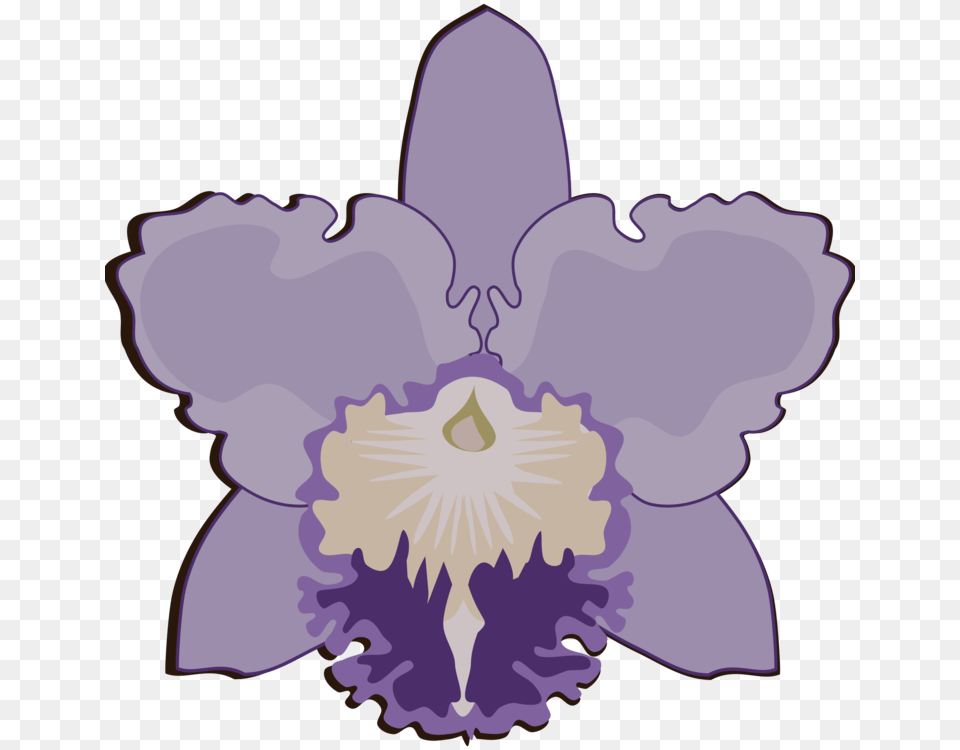 Lavender Clipart Orchid Flower Violet Flower Orchid Silhouette, Plant, Iris, Person Free Transparent Png