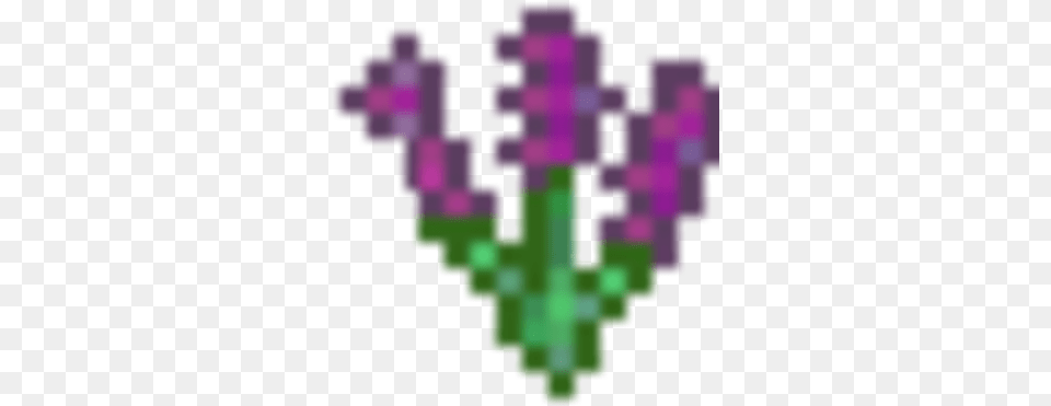 Lavender Cross, Purple, Flower, Plant, Pattern Free Png Download