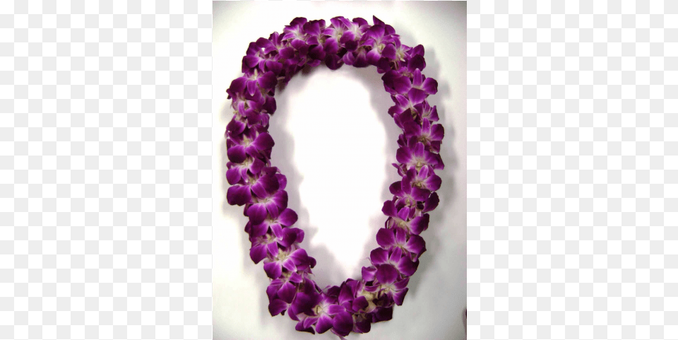 Lavender Dendrobium Orchid Lei Mumbai, Accessories, Flower, Flower Arrangement, Ornament Free Png Download