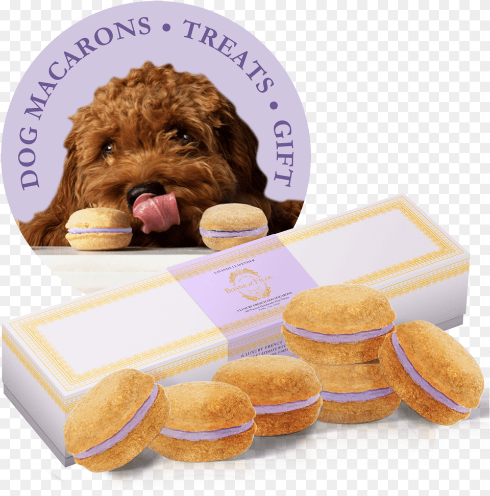Lavender Dog Macarons Dog Macarons, Burger, Food, Animal, Canine Free Png Download