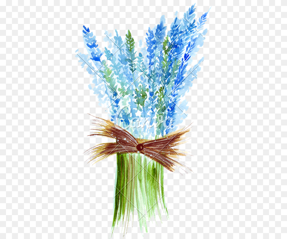 Lavender Drawing Watercolor Blue Flower Bunch Clipart, Flower Arrangement, Flower Bouquet, Plant, Art Free Transparent Png