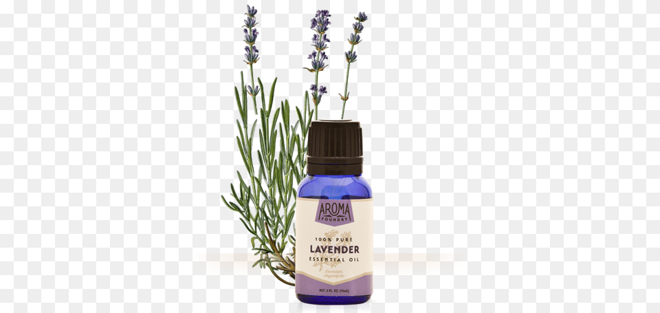 Lavender Essential Oil Fine Lavender Essential Oil Organic 10ml Florame, Flower, Herbal, Herbs, Plant Free Png Download