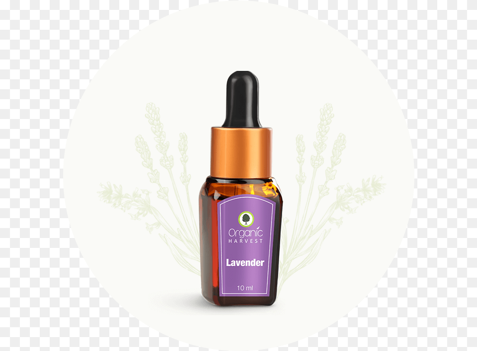 Lavender Essential Oil Organic Harvest Lavender Essential Oil, Bottle, Cosmetics, Perfume, Herbal Png