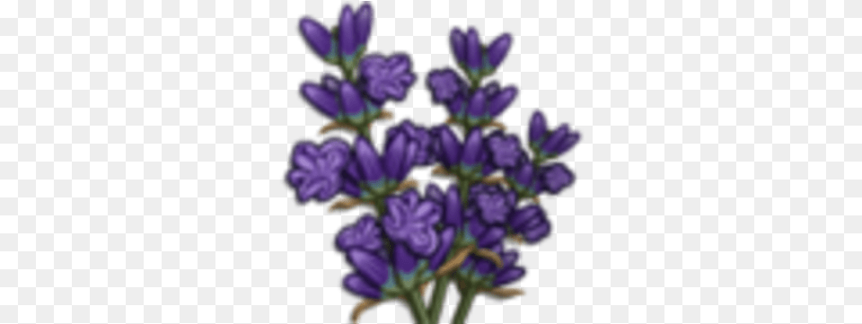 Lavender Farmville Wiki Fandom Floral, Flower, Plant, Purple Png Image