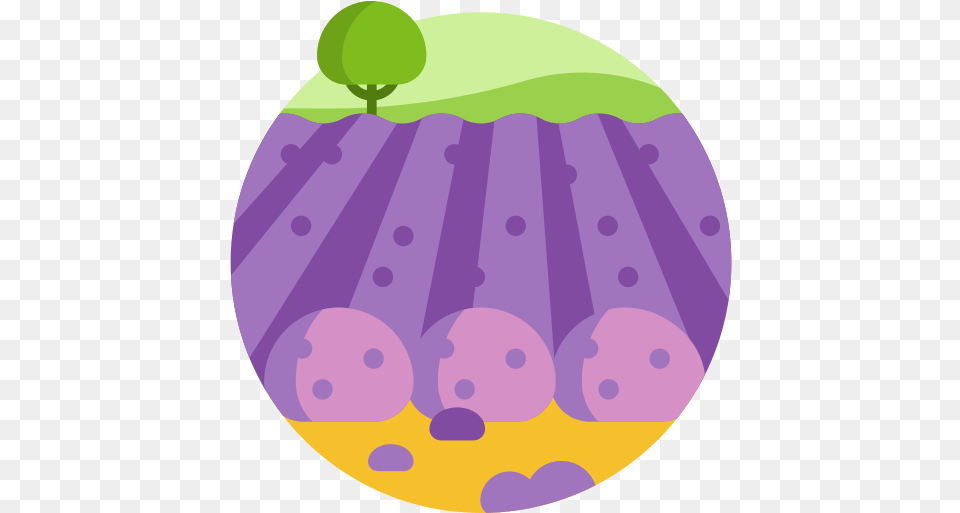 Lavender Field Icon, Purple, Food, Sphere Png Image