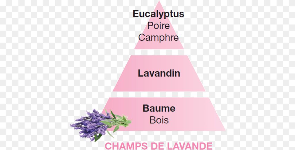 Lavender Fields 500ml Lampe Berger Champ De Lavande, Triangle, Flower, Purple, Plant Png