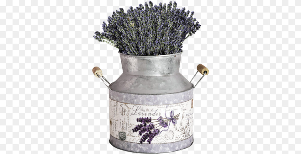 Lavender Fields Flower, Tin, Can, Plant, Milk Can Free Png