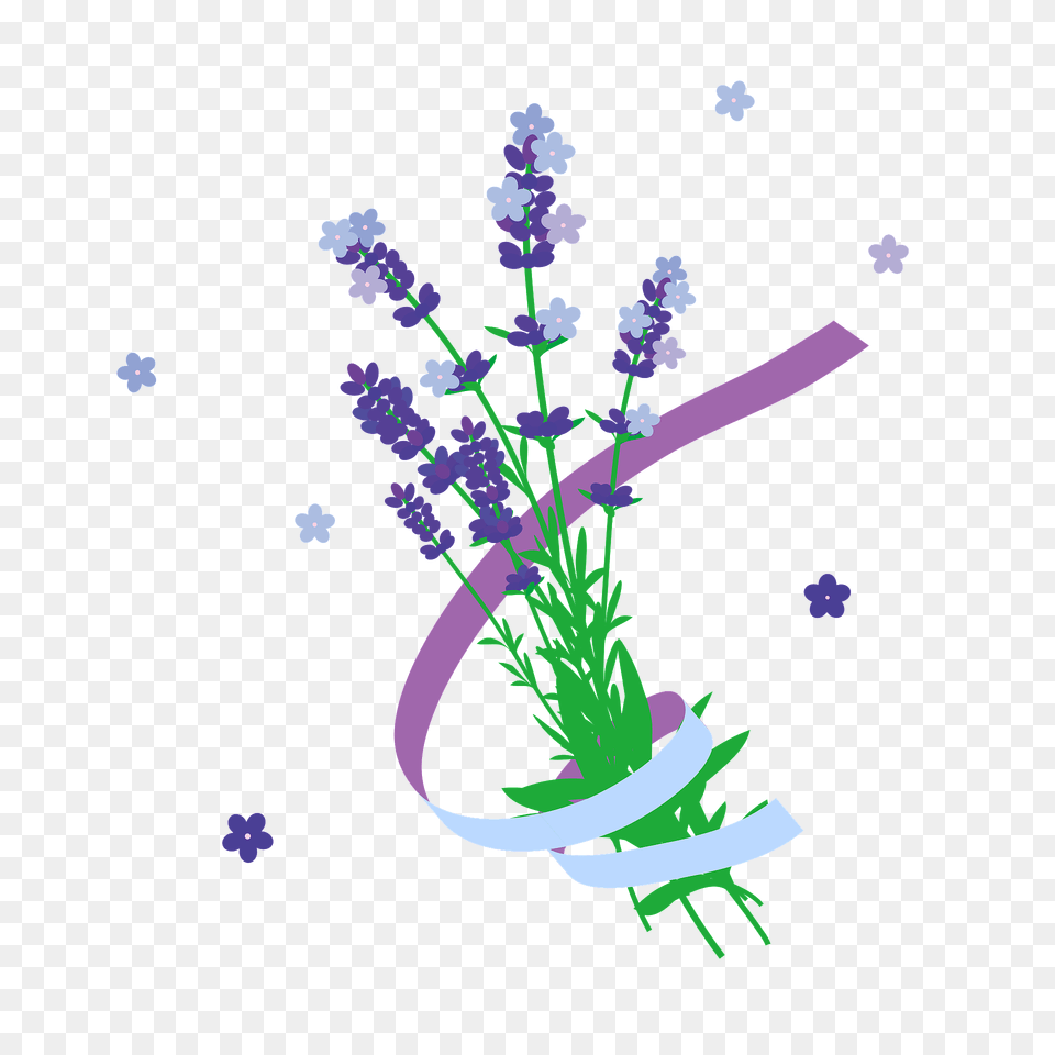 Lavender Flower Bouquet Clipart, Art, Graphics, Plant, Purple Png Image
