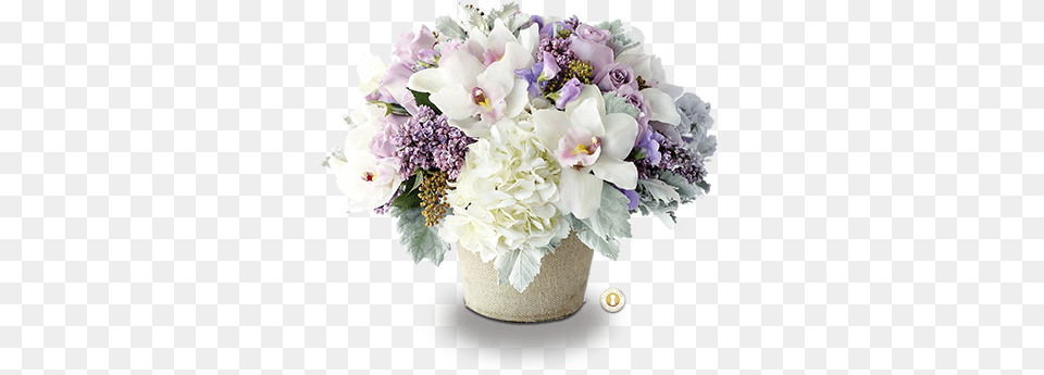 Lavender Flowers And Dusty Miller, Flower, Flower Arrangement, Flower Bouquet, Plant Png