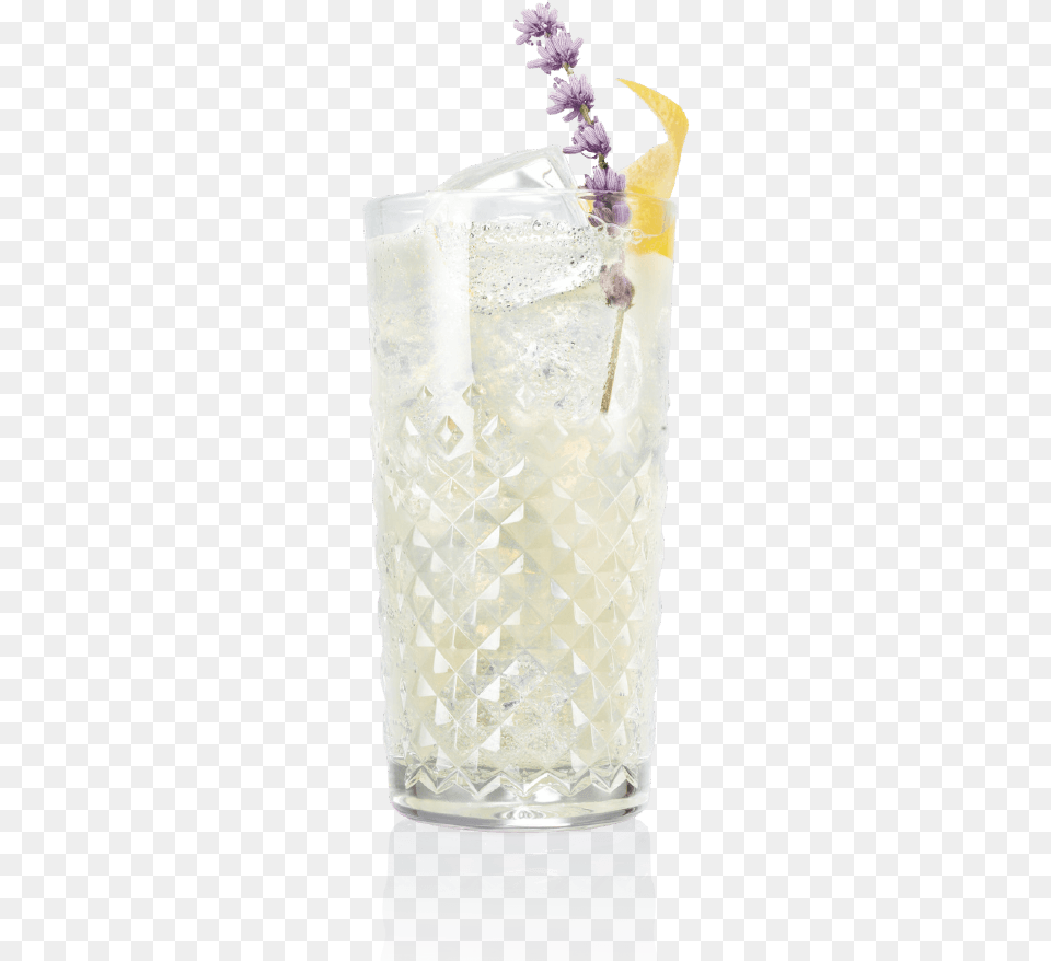 Lavender Gin Fizz Classic Cocktail, Glass, Ice, Flower, Plant Png