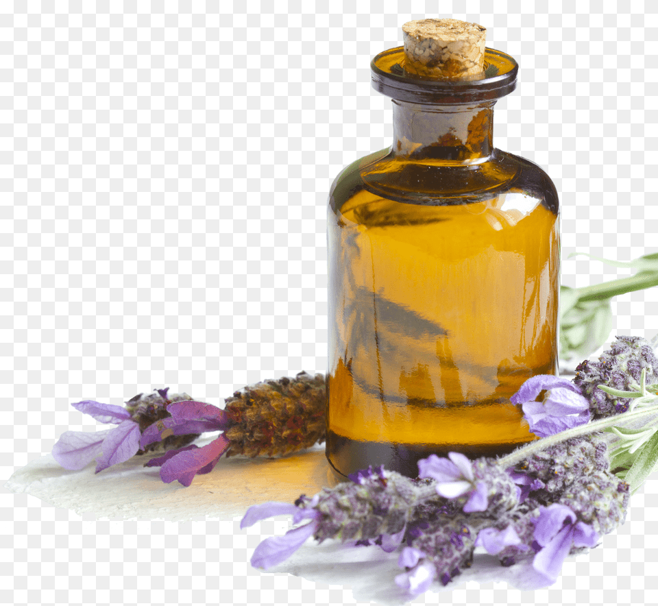 Lavender Oil, Herbs, Plant, Herbal, Flower Free Png