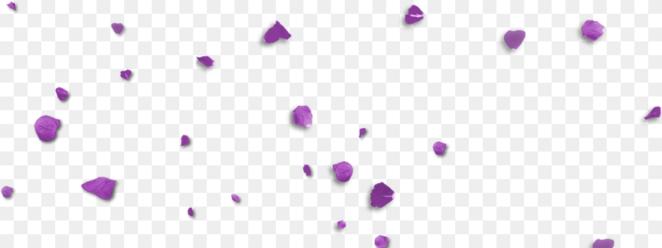 Lavender Petals, Purple, Flower, Paper, Petal Png