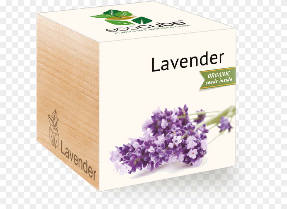 Lavender Plant, Flower, Box Free Png Download