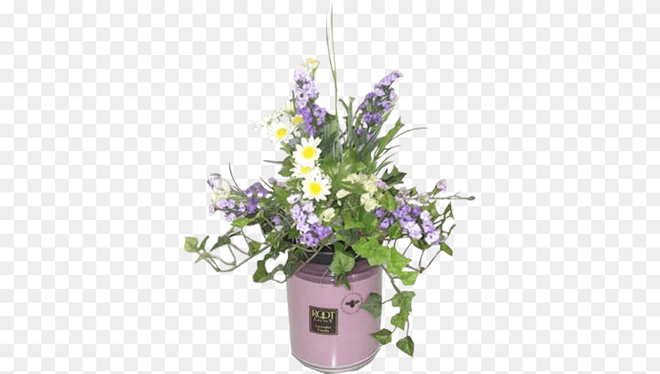 Lavender Plant, Flower, Flower Arrangement, Flower Bouquet, Potted Plant Png