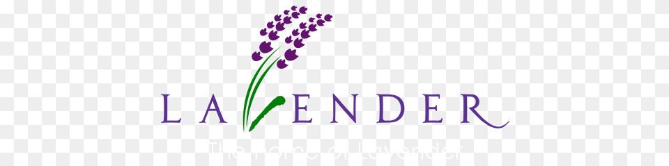 Lavender Products, Art, Graphics, Purple, Flower Png