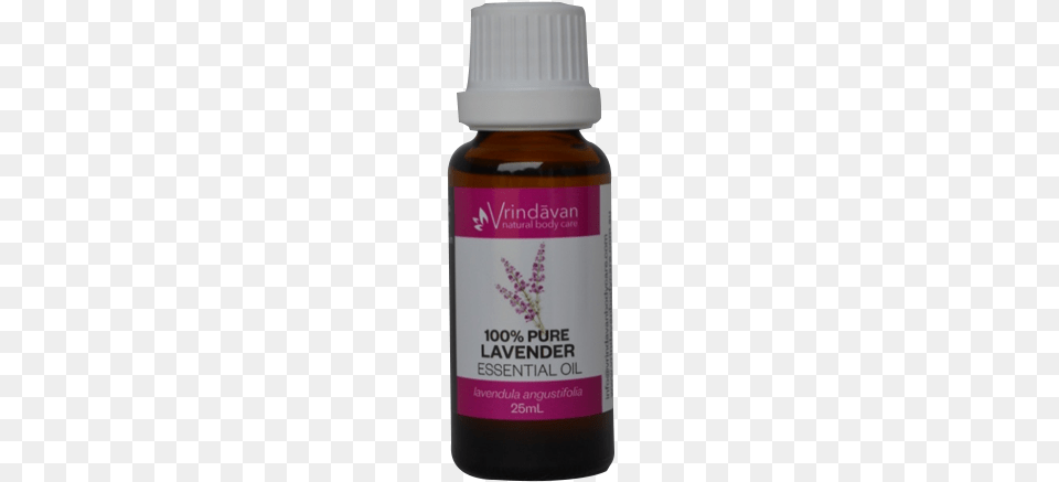 Lavender Purple Coneflower, Food, Herbal, Herbs, Plant Free Png Download