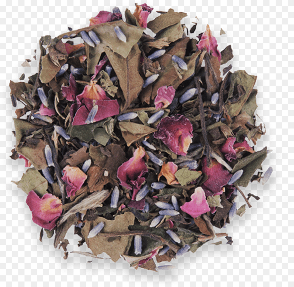 Lavender Rose Loose Leaf White Tea From The Jasmine Scrap, Flower, Flower Arrangement, Flower Bouquet, Herbal Free Png
