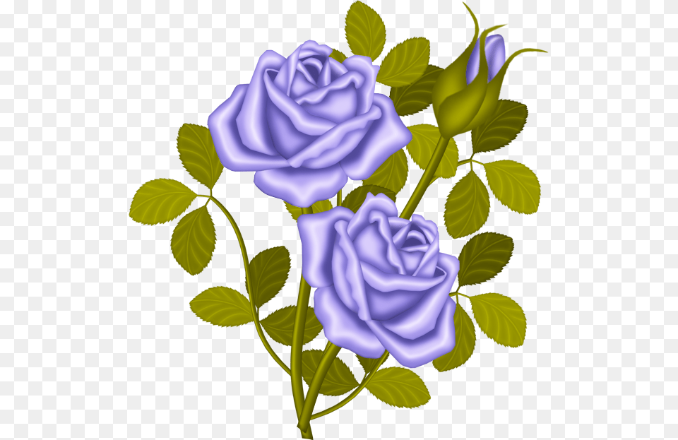 Lavender Roses Proud Rose Story, Flower, Plant Free Png Download