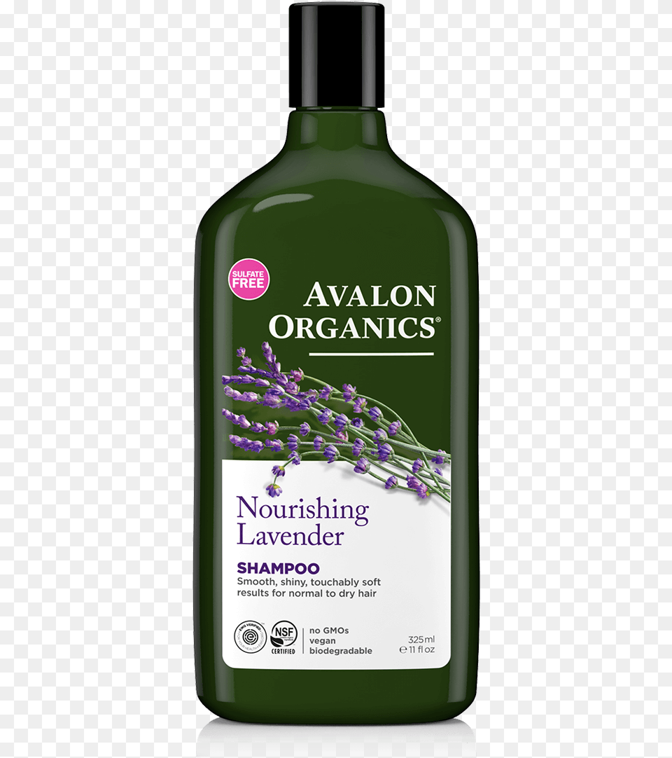 Lavender Shampoo Avalon Organics Shampoo Nourishing Lavender, Bottle, Herbal, Herbs, Plant Png