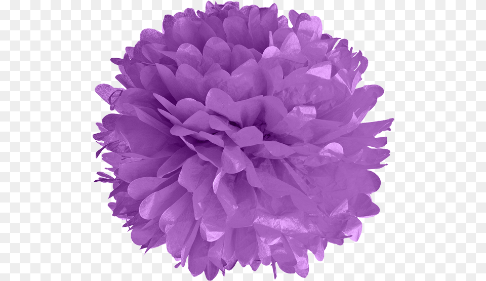 Lavender Tissue Pom Poms Purple Pom Pom Clipart, Paper, Flower, Plant, Towel Png