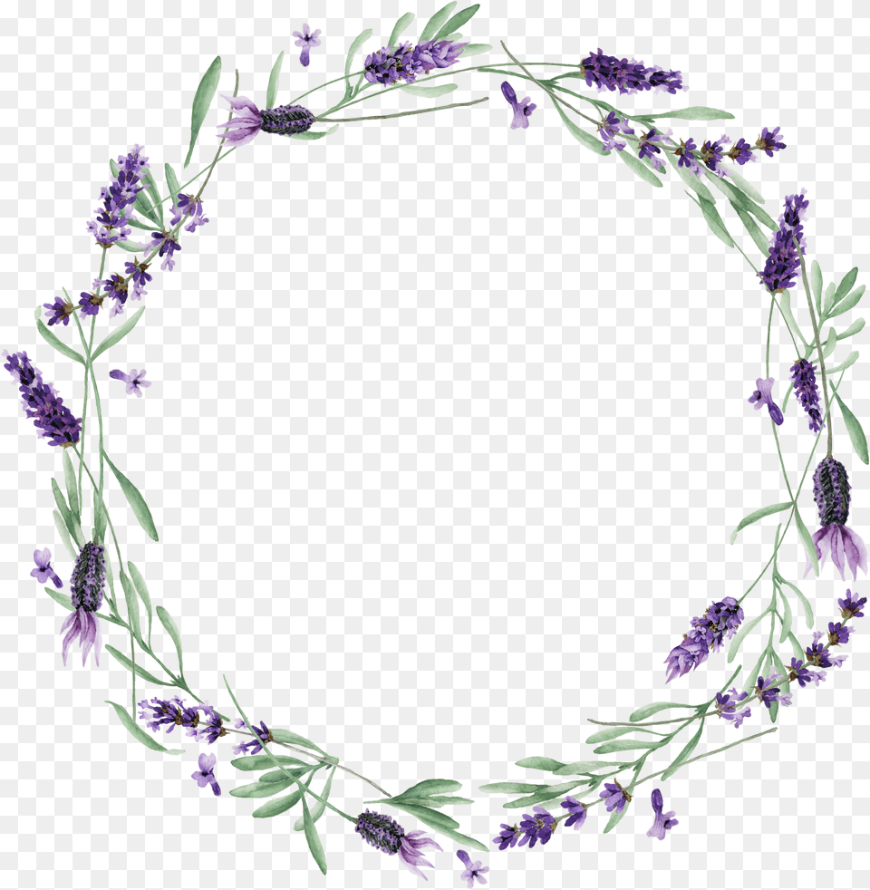 Lavender Vector No Background, Flower, Plant, Purple Free Png Download