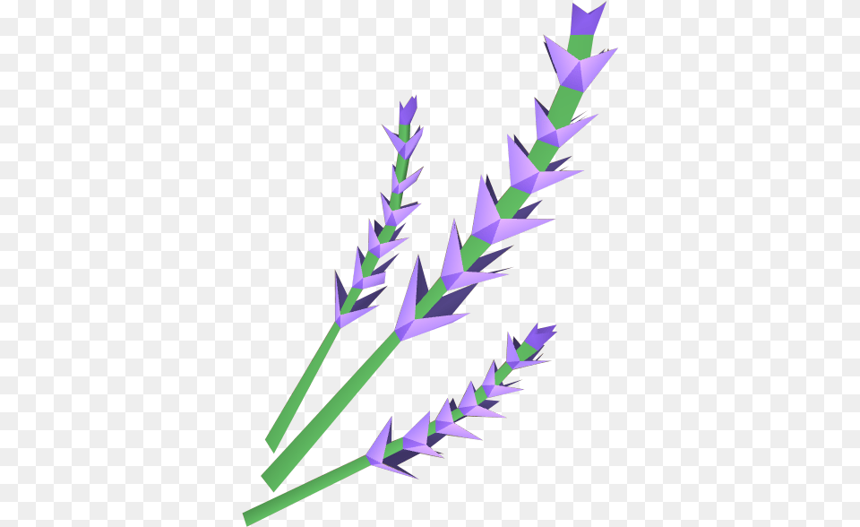 Lavender Vertical, Grass, Plant, Weapon Png