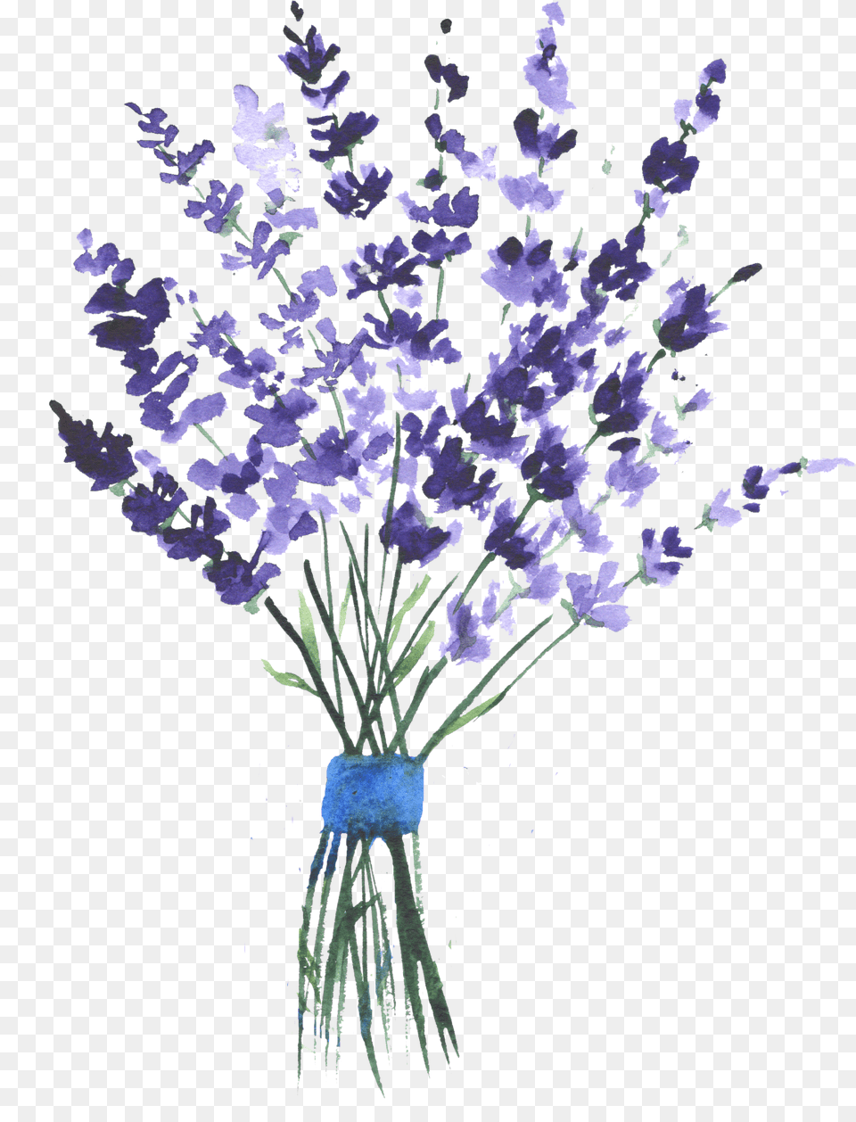 Lavender Watercolor Purple Flowers Watercolour Lavender, Flower, Plant, Flower Arrangement, Art Free Transparent Png