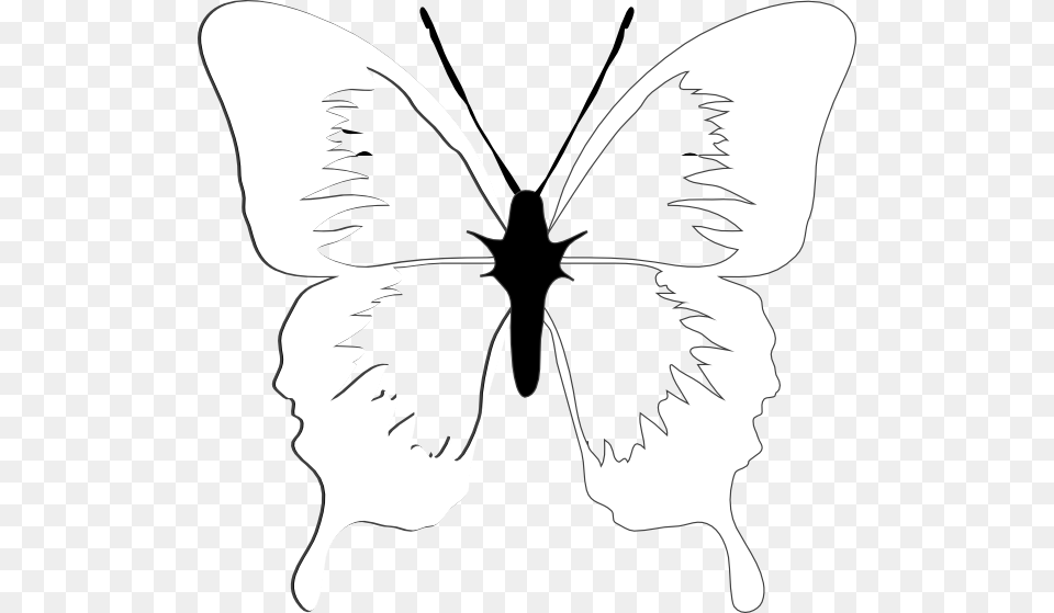 Laver And Wood Butterfly, Stencil, Person, Art, Drawing Free Png Download