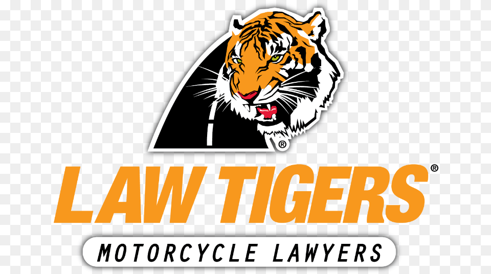 Law Tigers, Animal, Mammal, Tiger, Wildlife Free Transparent Png