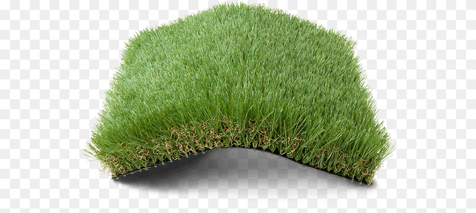 Lawn, Grass, Moss, Plant, Vegetation Free Png