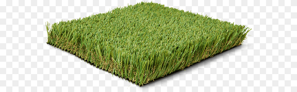 Lawn, Grass, Plant, Vegetation, Moss Png Image