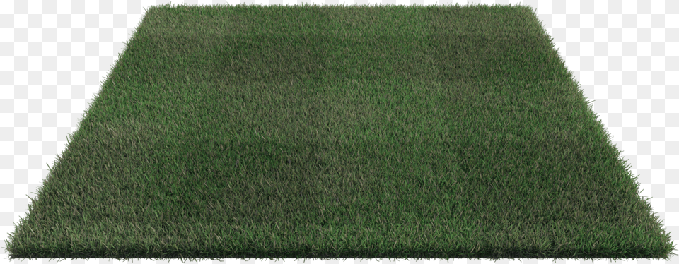 Lawn, Grass, Home Decor, Plant, Rug Free Png Download