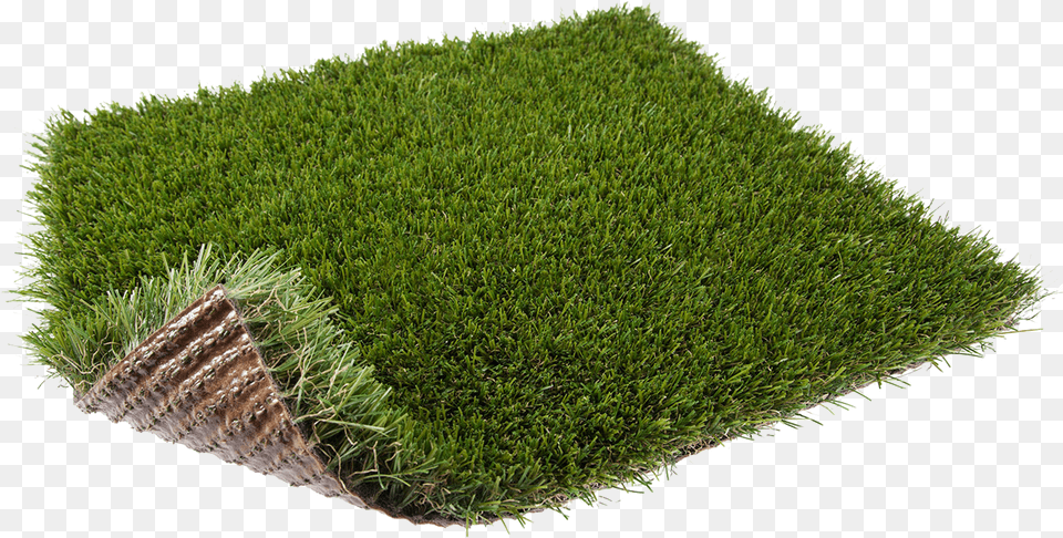Lawn, Grass, Moss, Plant, Vegetation Free Png Download