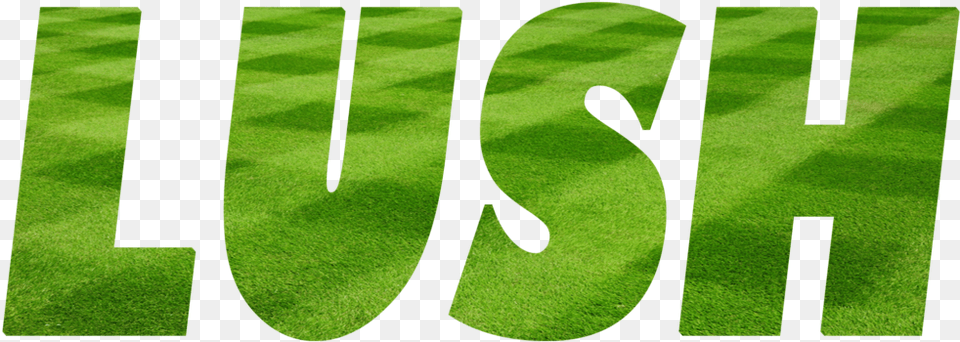 Lawn, Grass, Green, Plant, Text Free Transparent Png