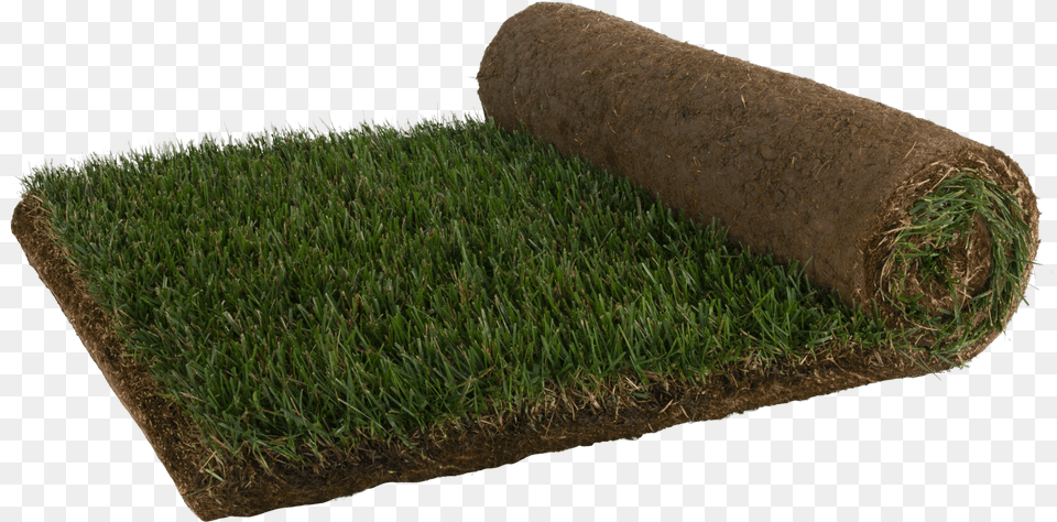Lawn, Grass, Plant, Soil, Mat Free Transparent Png