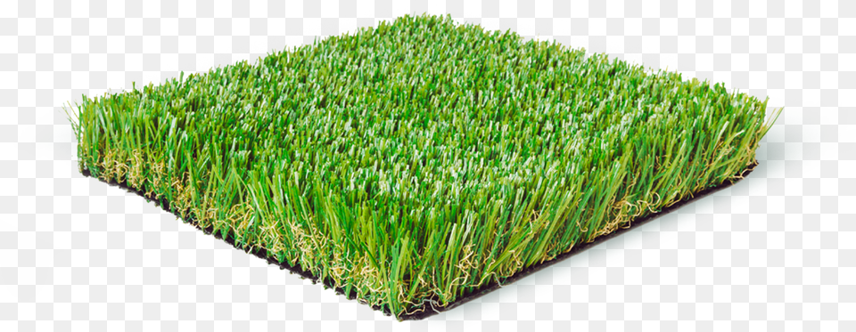 Lawn, Grass, Plant, Potted Plant, Vegetation Free Png