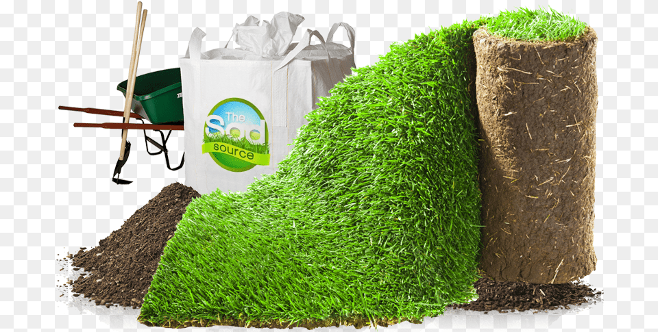 Lawn, Tree, Plant, Grass, Bag Free Transparent Png