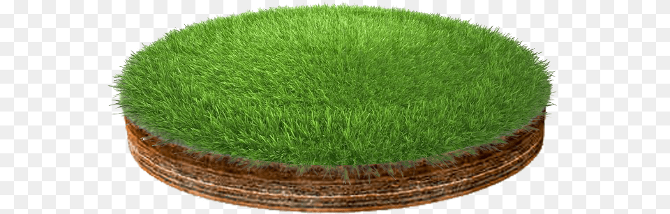 Lawn, Grass, Moss, Plant, Potted Plant Png Image