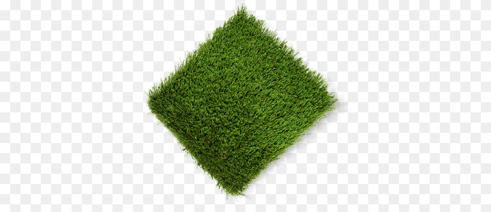Lawn, Moss, Plant, Tree, Vegetation Free Transparent Png