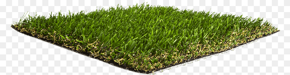 Lawn, Grass, Moss, Plant, Potted Plant Free Transparent Png