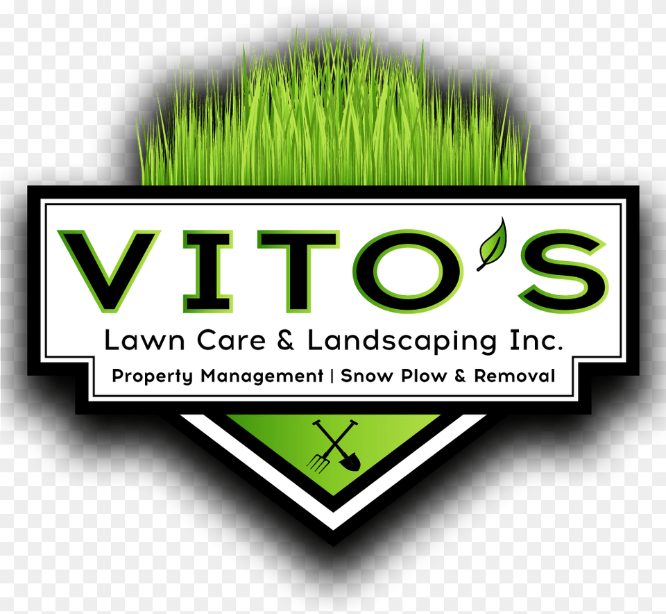 Lawn Care, Grass, Vase, Pottery, Potted Plant Free Png