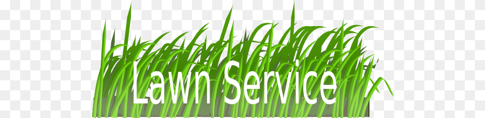 Lawn Clip Art, Vegetation, Plant, Grass, Green Png