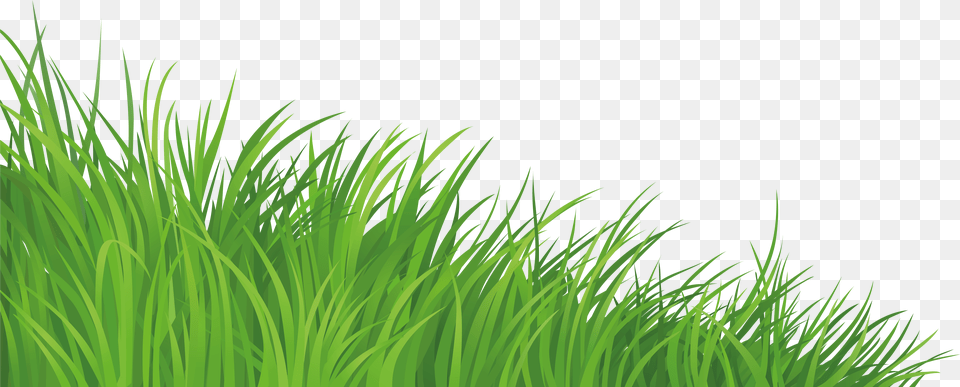 Lawn Clip Art Grass Background Clipart, Green, Plant, Vegetation Png