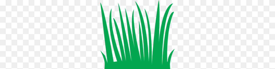 Lawn Clipart, Green, Lighting, Art, Graphics Free Png