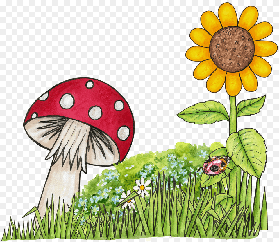 Lawn Clipart, Daisy, Flower, Plant, Person Free Transparent Png