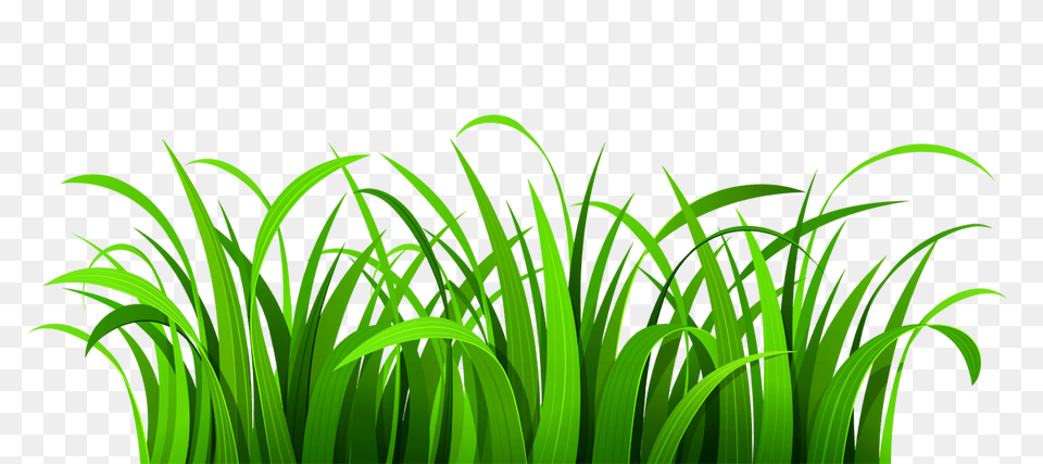 Lawn Clipart, Grass, Green, Plant, Vegetation Free Png