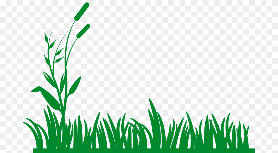 Lawn Clipart Field, Grass, Green, Plant, Vegetation Png