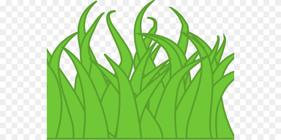 Lawn Clipart Long Grass Grass Clipart, Green, Leaf, Plant, Aquatic Png